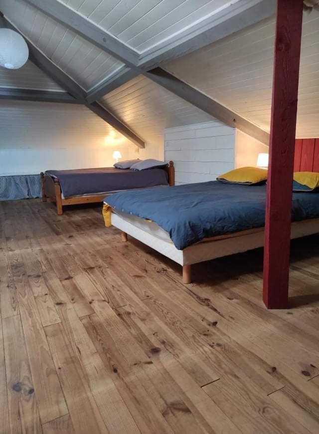 Maison Landaise Chaleureuse Rion-Des-Landes 외부 사진